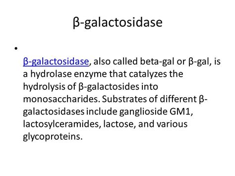 what is beta galactosidase|Beta.